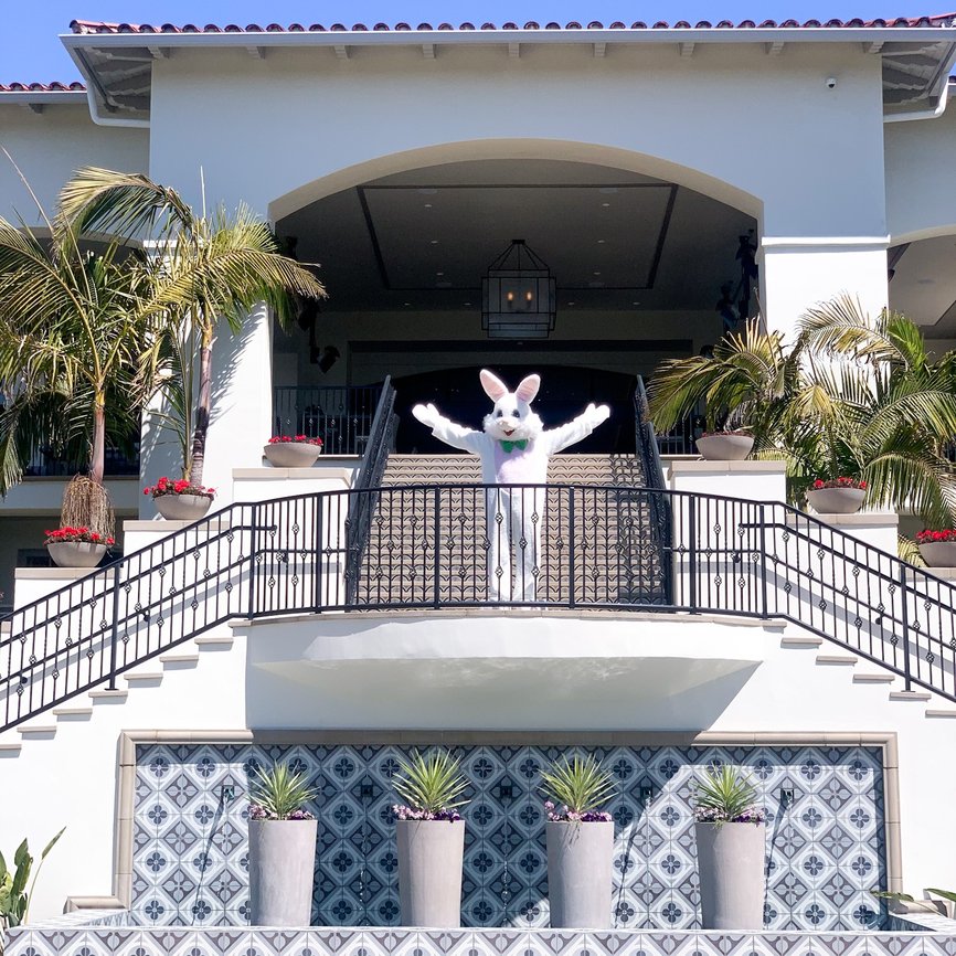 Bunny on Grand Staircase